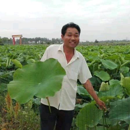 平安，养殖交流