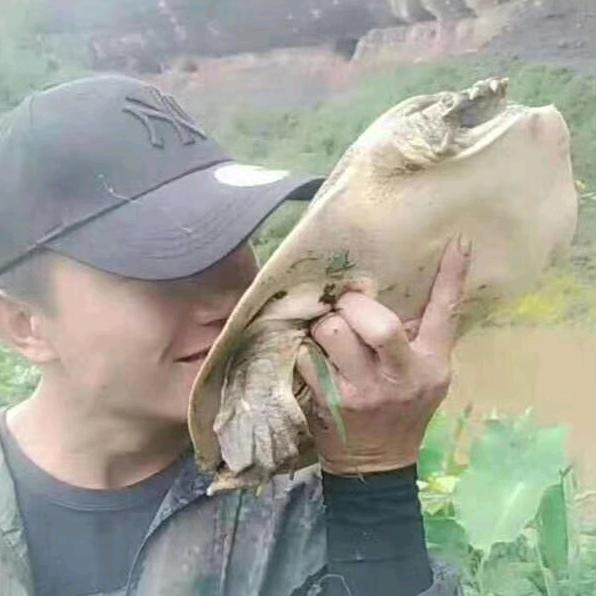 哪吒户外