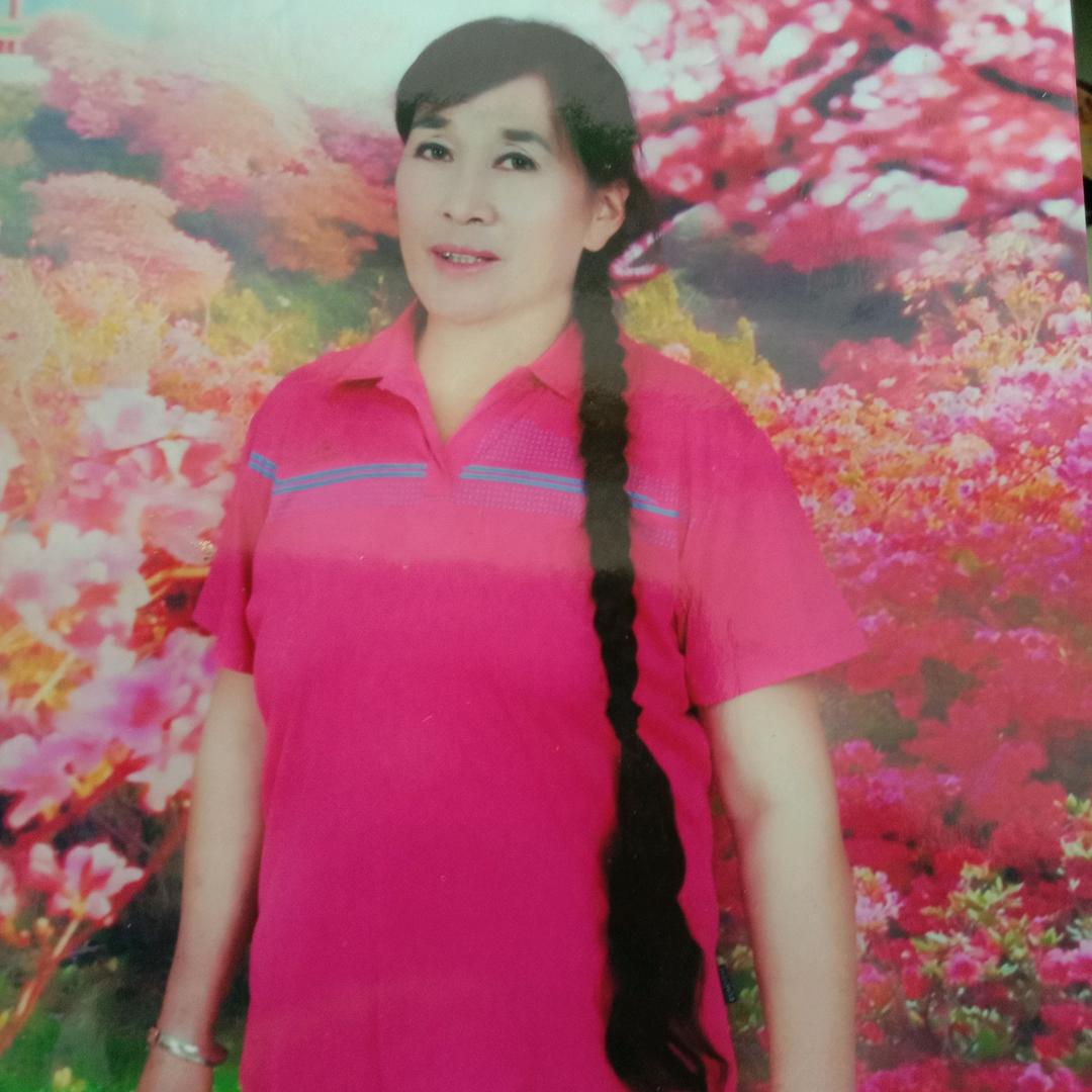 凤 穿牡丹