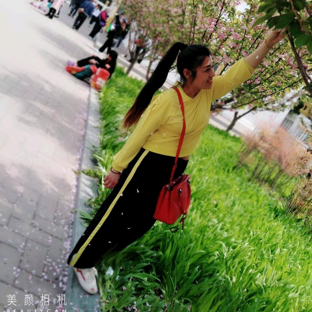 🌸华姐🌸