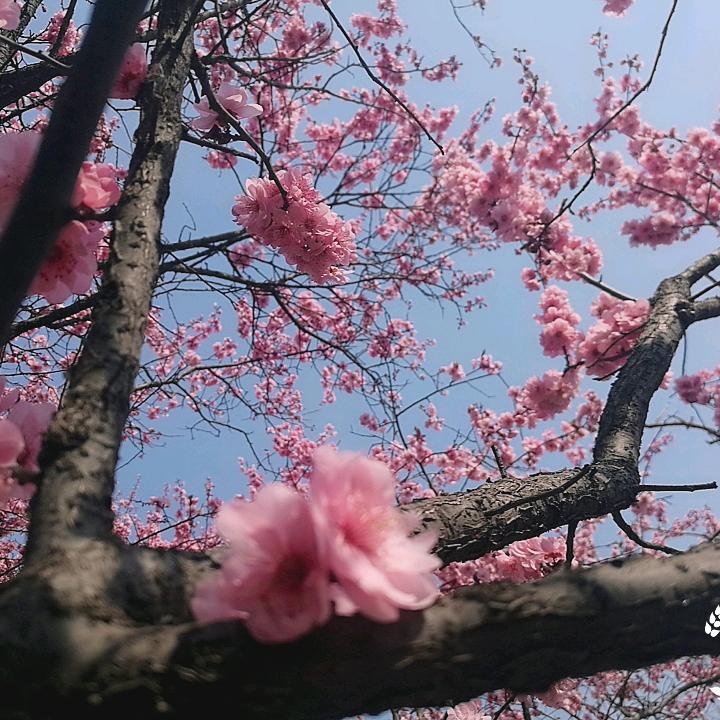 水晶