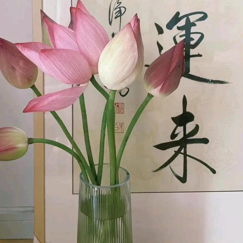 成都佩佩㢟时