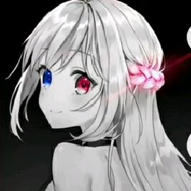 洛云