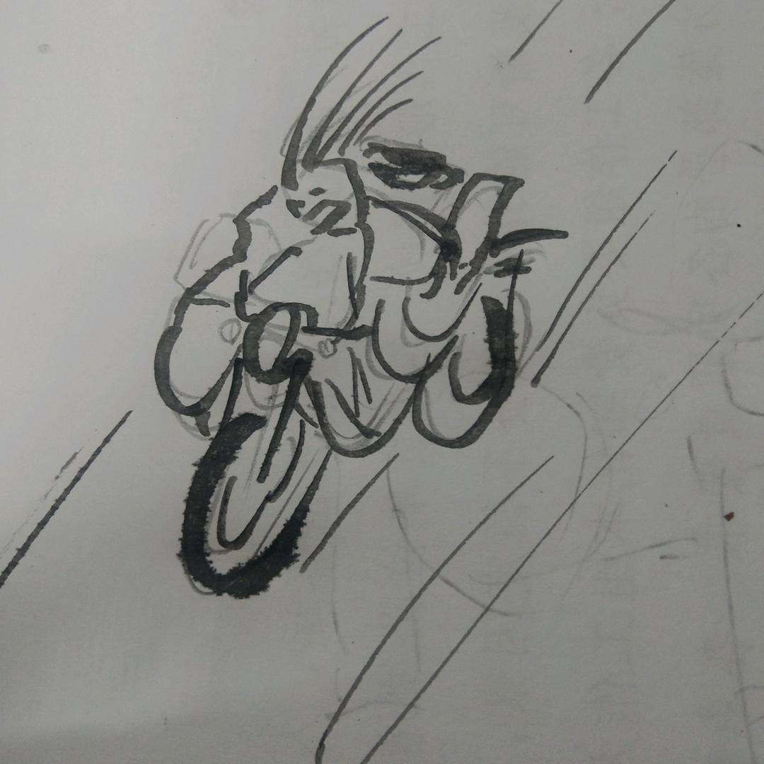 涿州大公鸡