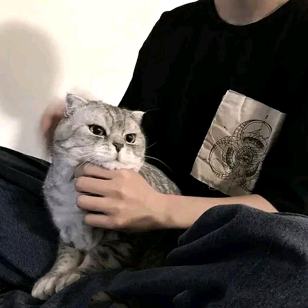 @朋
