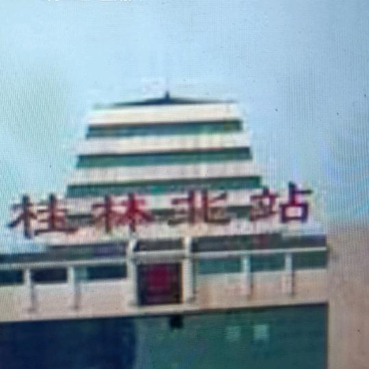 伤心的茶梅