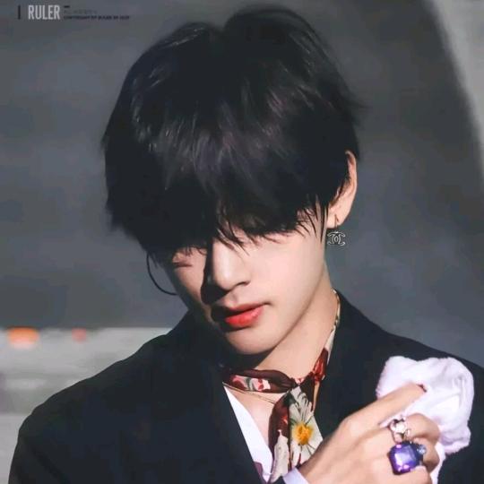 鹤发童颜小西瓜