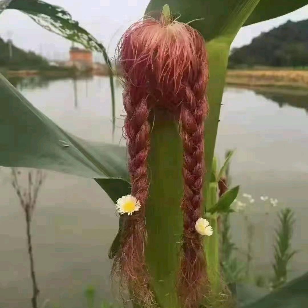 ■浅夏微凉