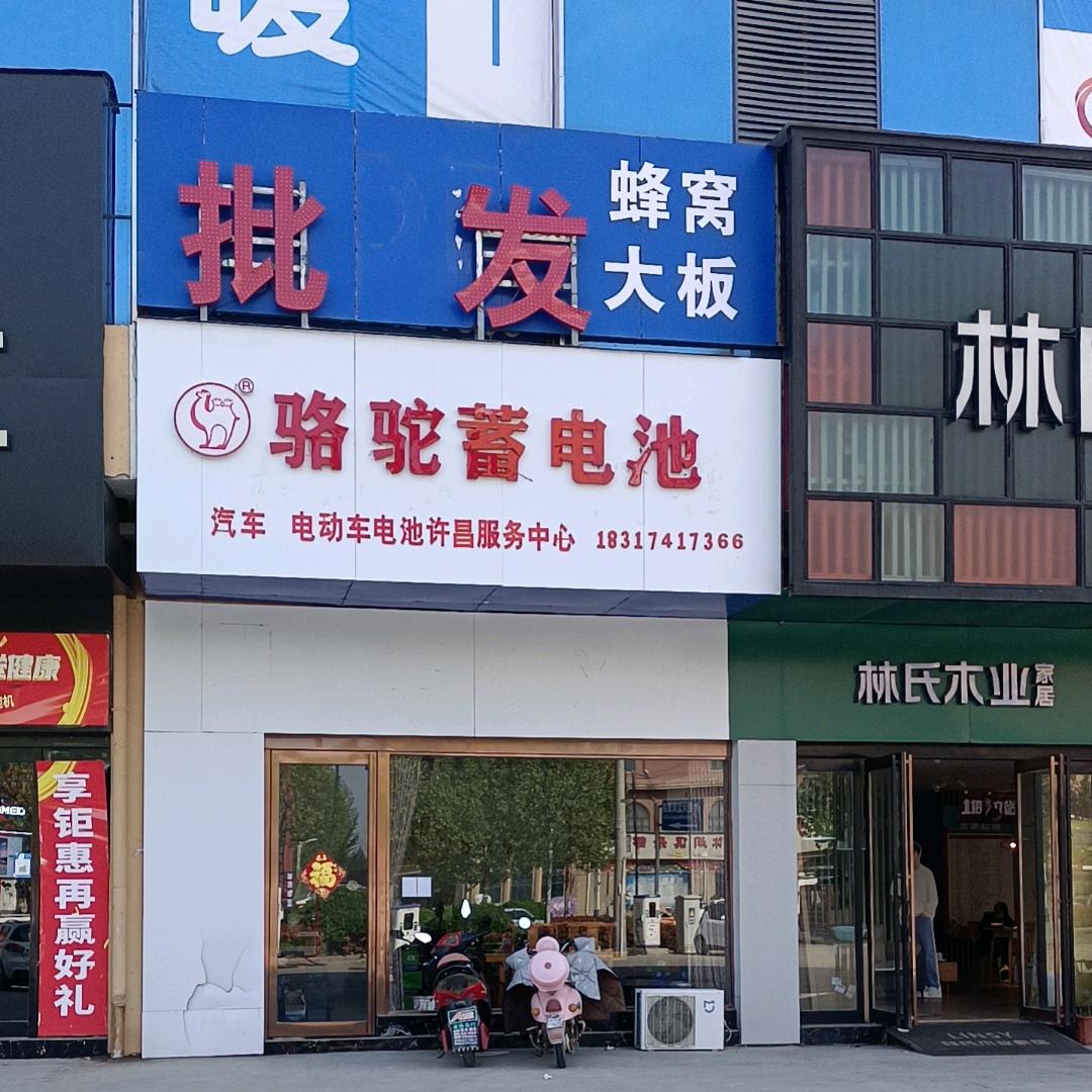 鄢陵骆驼蓄电池