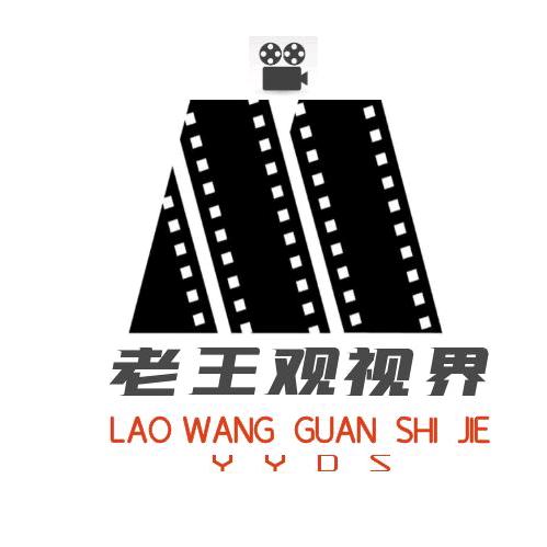 老王说视