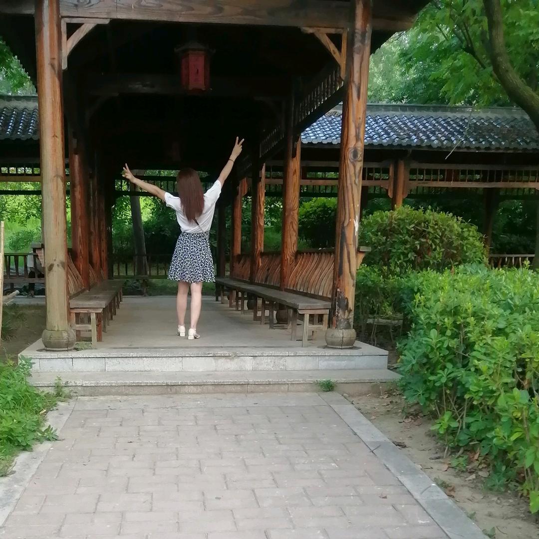 惟愿静好Y