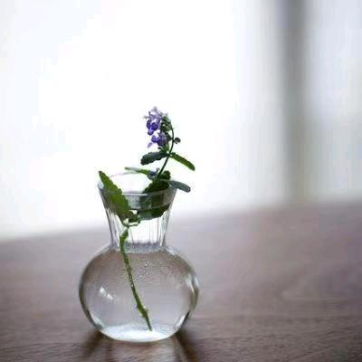 明我(´｡✪ω✪｡｀)长相忆