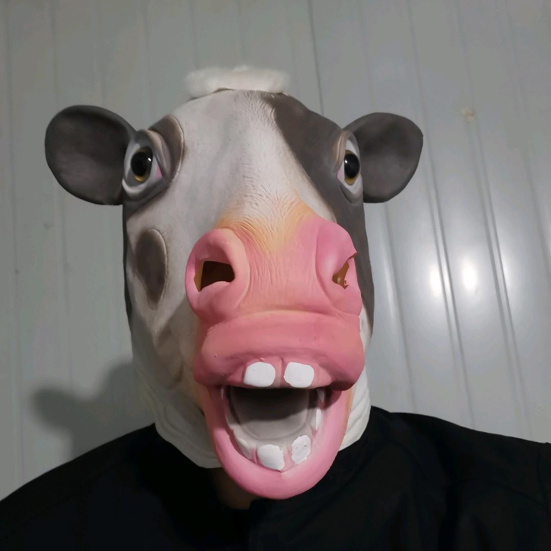 牛马修车