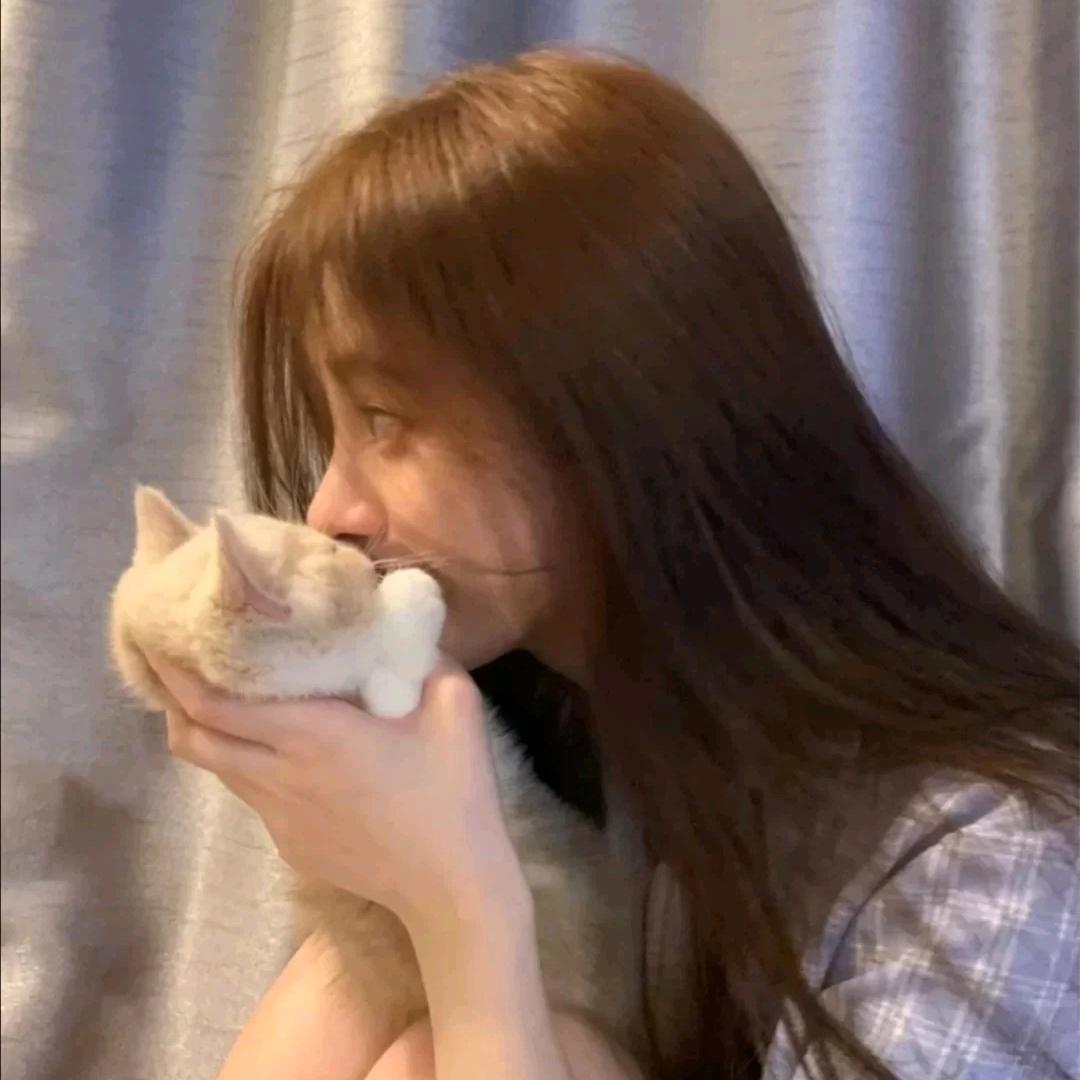 ᝰꫛꪮꪮꫜ 🌙 .