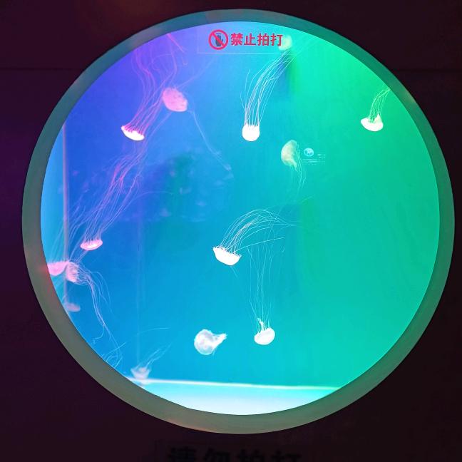 你若化成风我幻化成雨