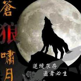 苍🐺啸月，孤🐺独行
