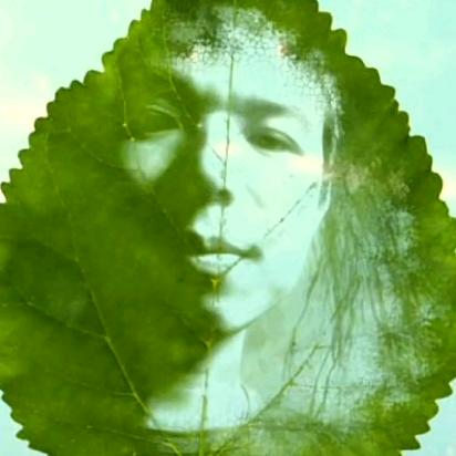 松哥（进入橱窗）质量好价格便宜。