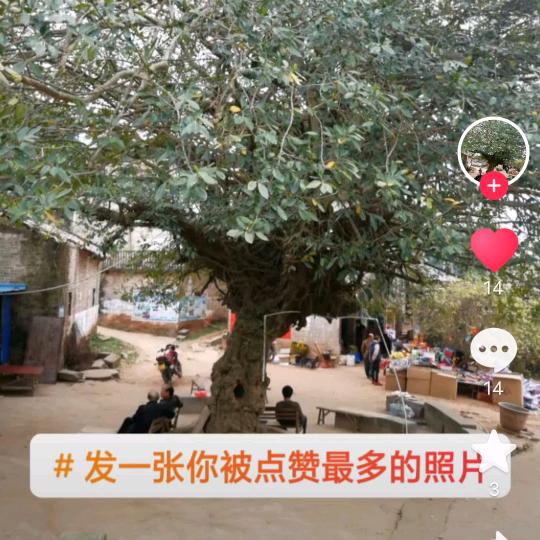 刘宁