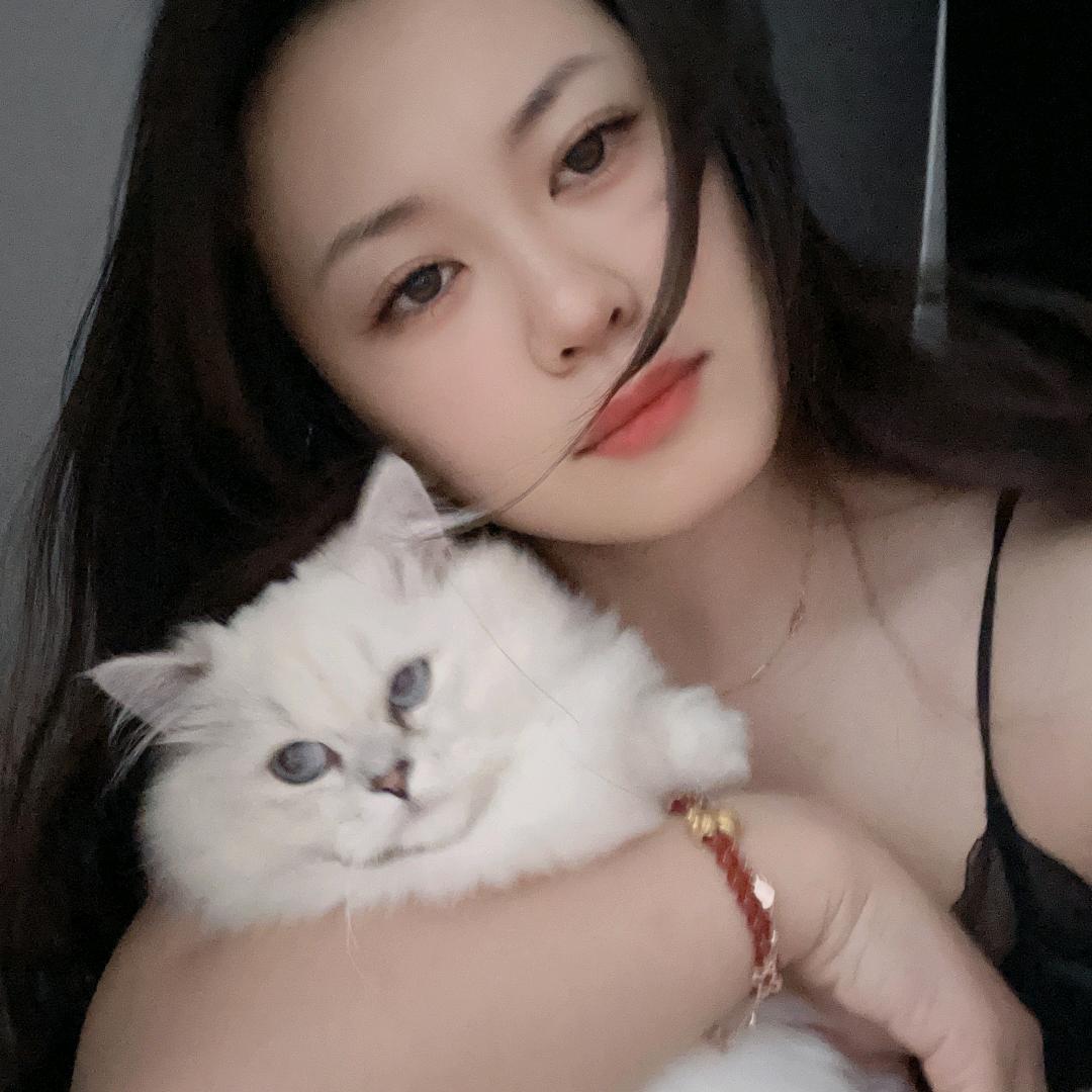 宠小栖的猫