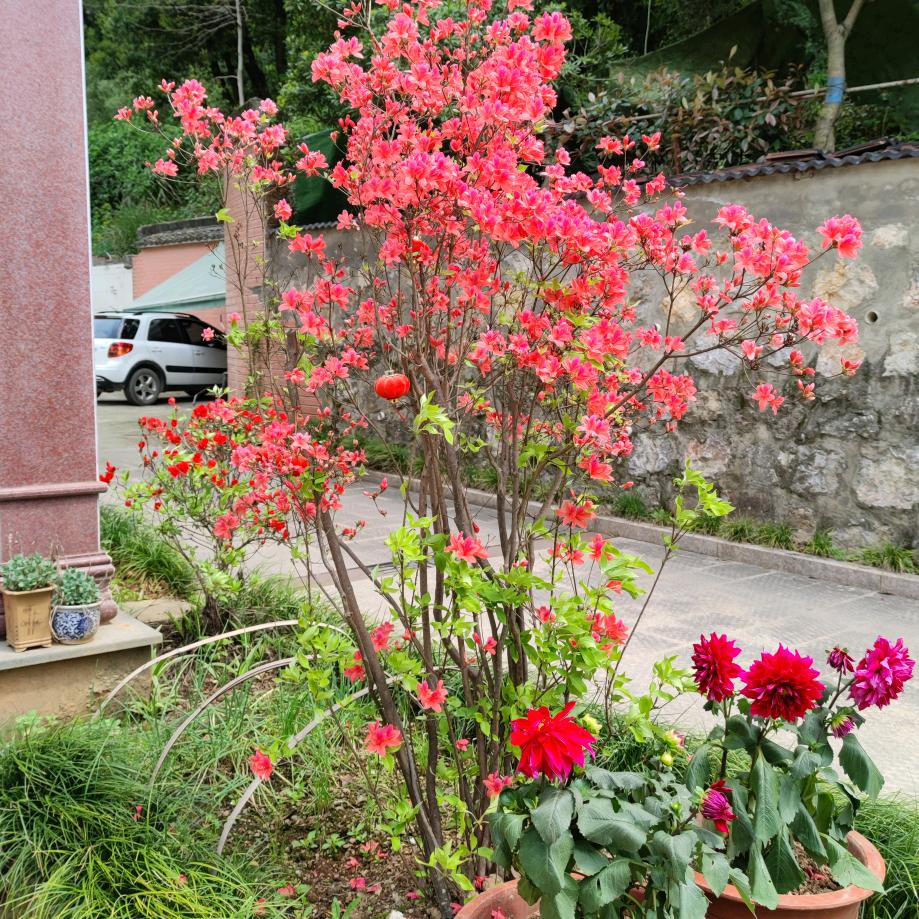 每个文明都是带枪的猎人197653