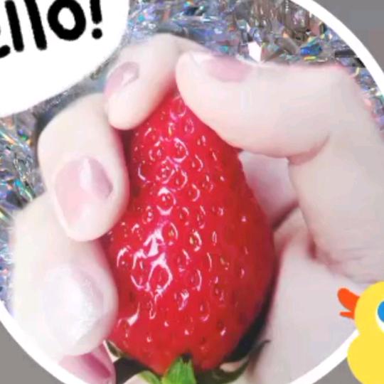 🌹品味人生🌹