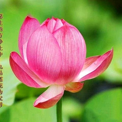 厚德载物2993