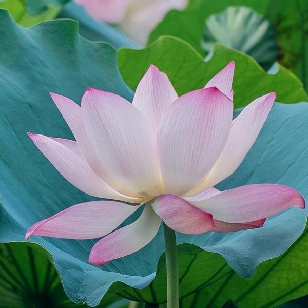 冰冻三尺非一日之寒