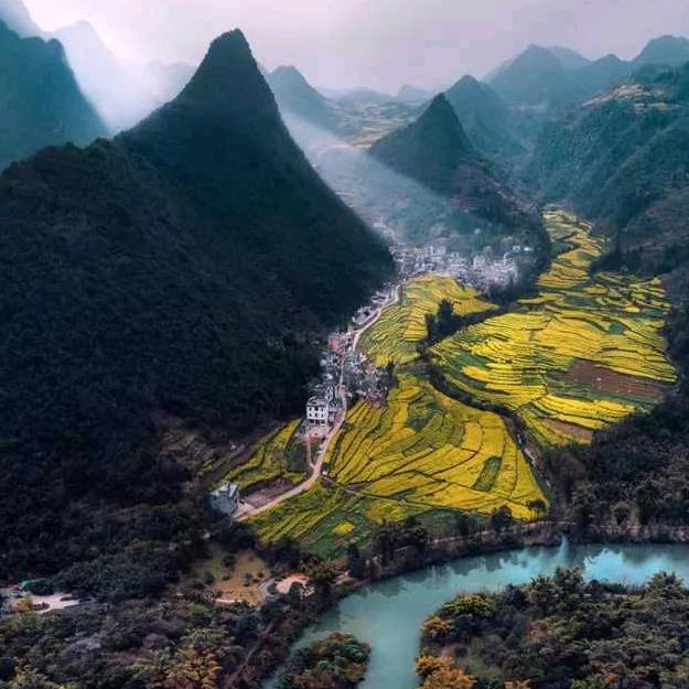🇨🇳Z先森
