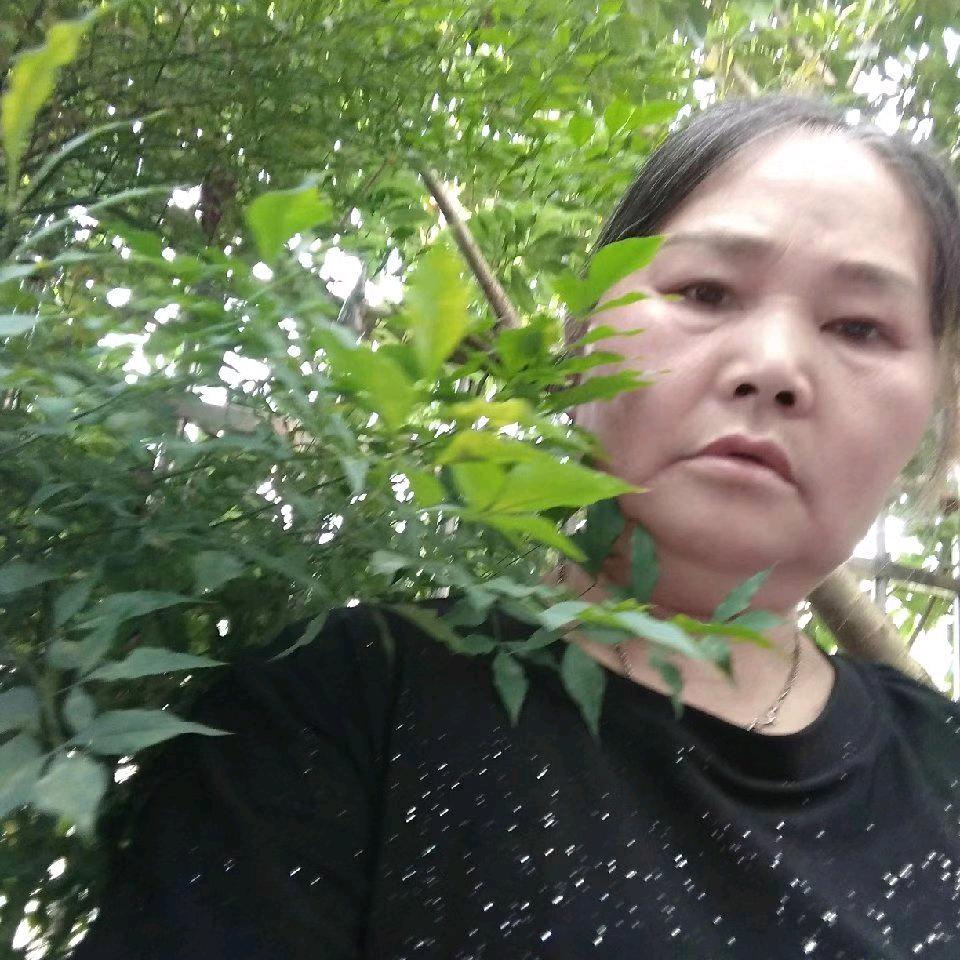 付连飞