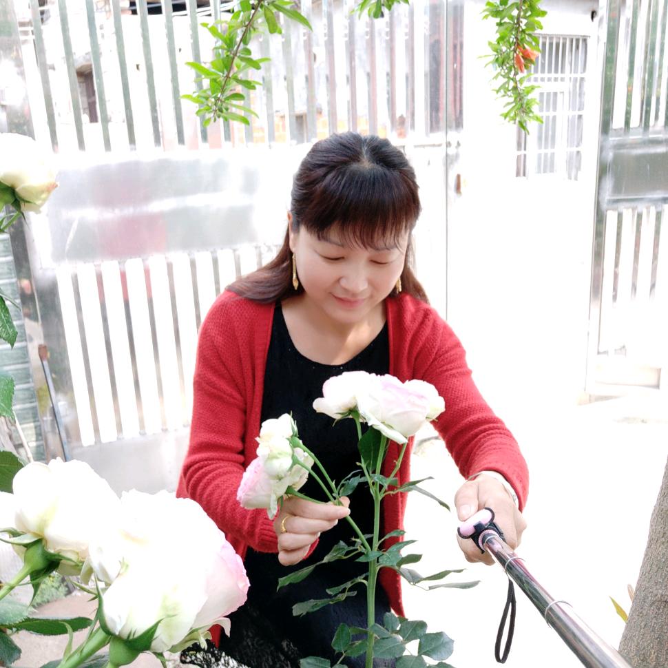 轻舞漫步