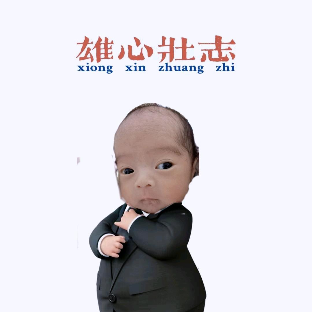 不吃猪蹄