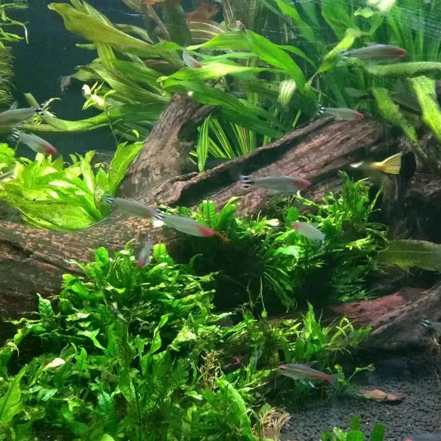 过一天快乐一天