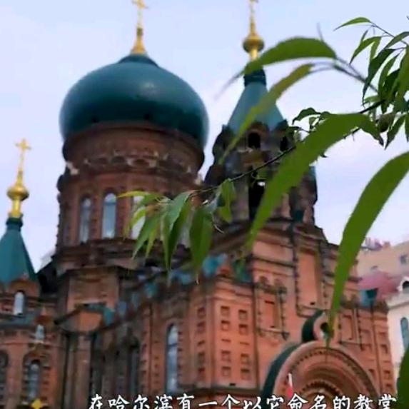 梦回哈尔滨
