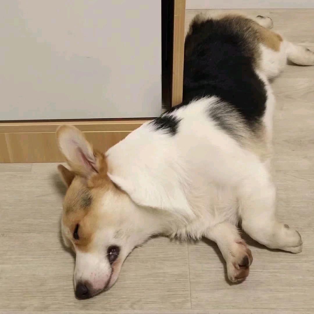 怪咖呢丶