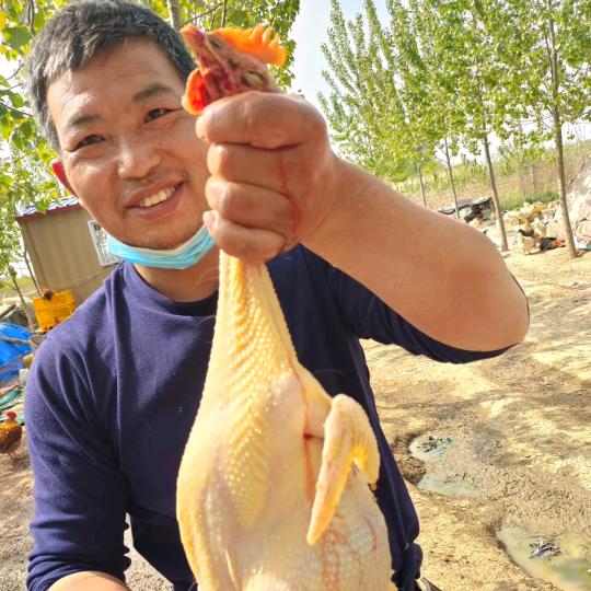 莱西市老任家禽养殖厂（个体工商户）