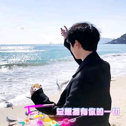 南晨风浅