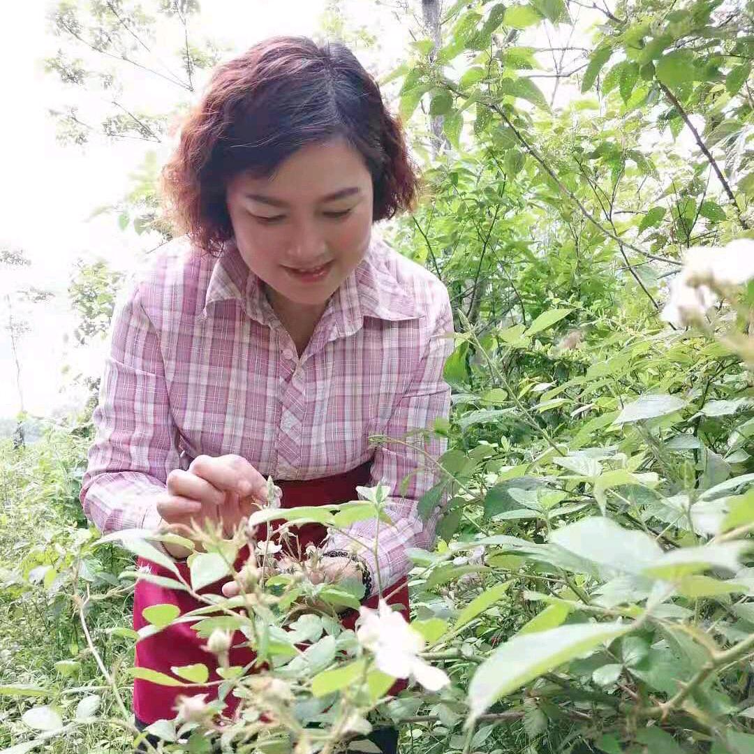 山珍周姐