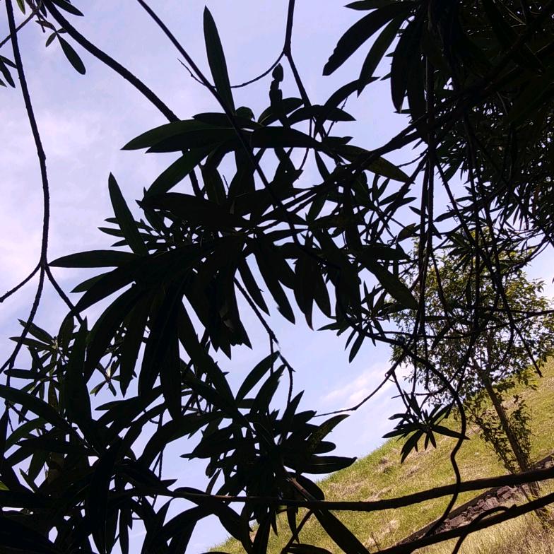 相信自己0739
