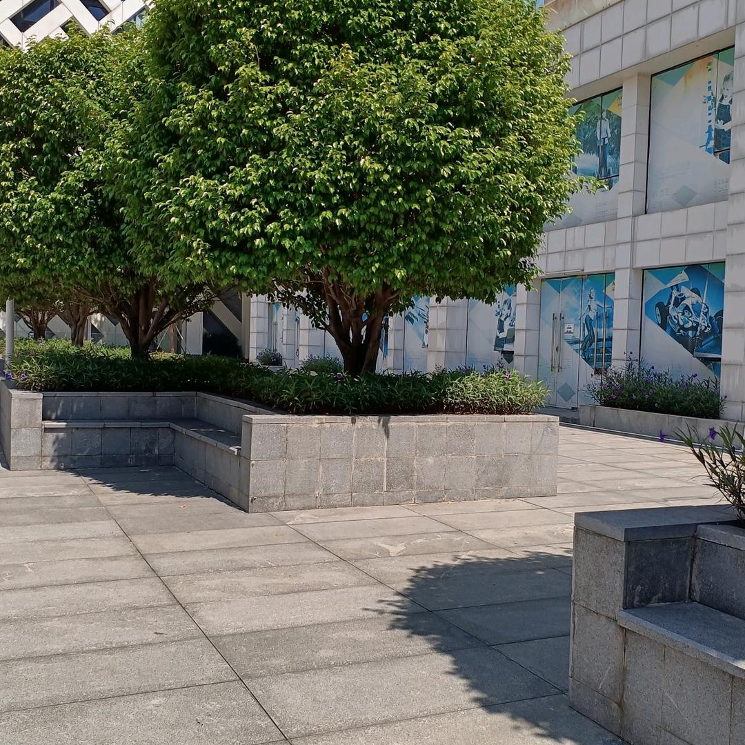 🌺🌺萍萍🌷🌷（拒绝私聊）