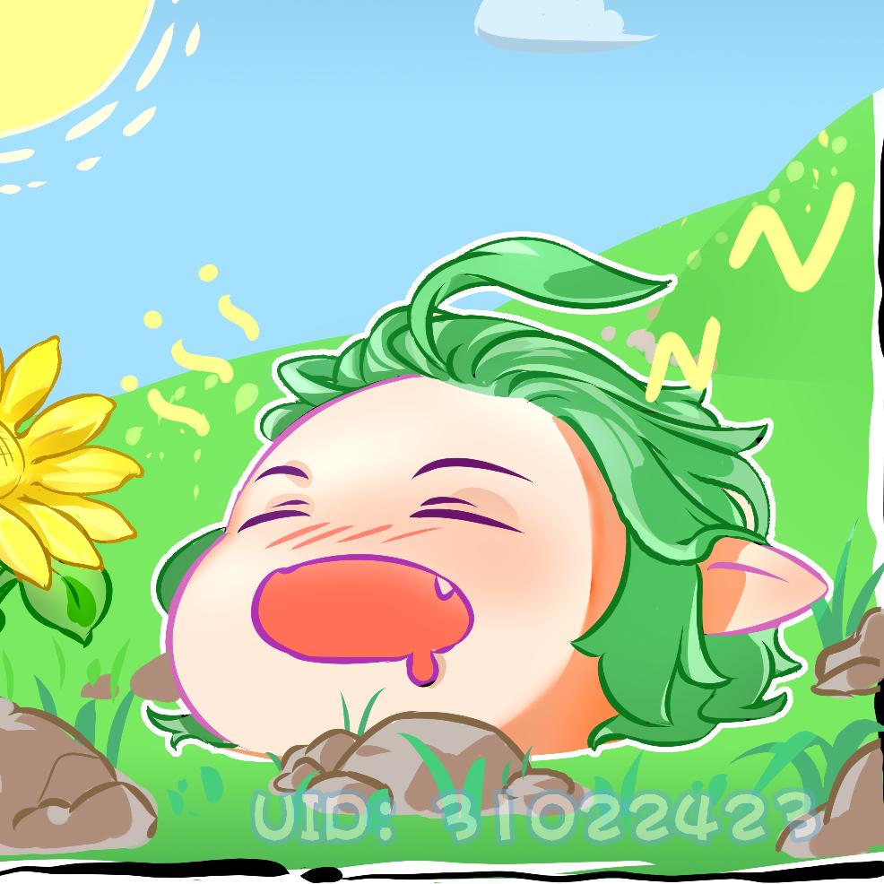 睡懒觉的石头