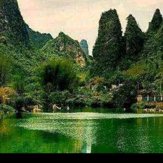 平安芮宁