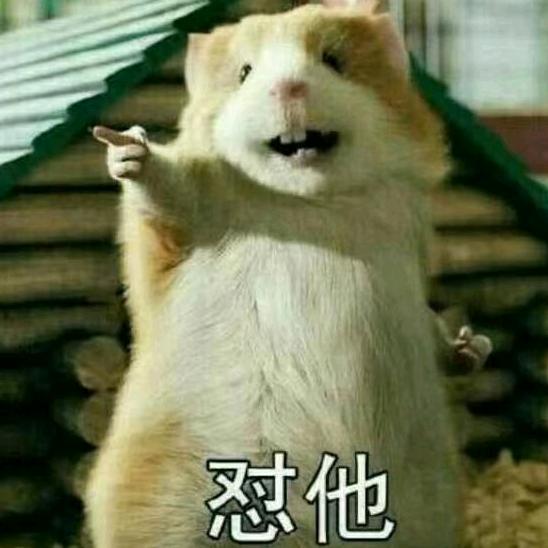 Mé、尐懒猪ゞ