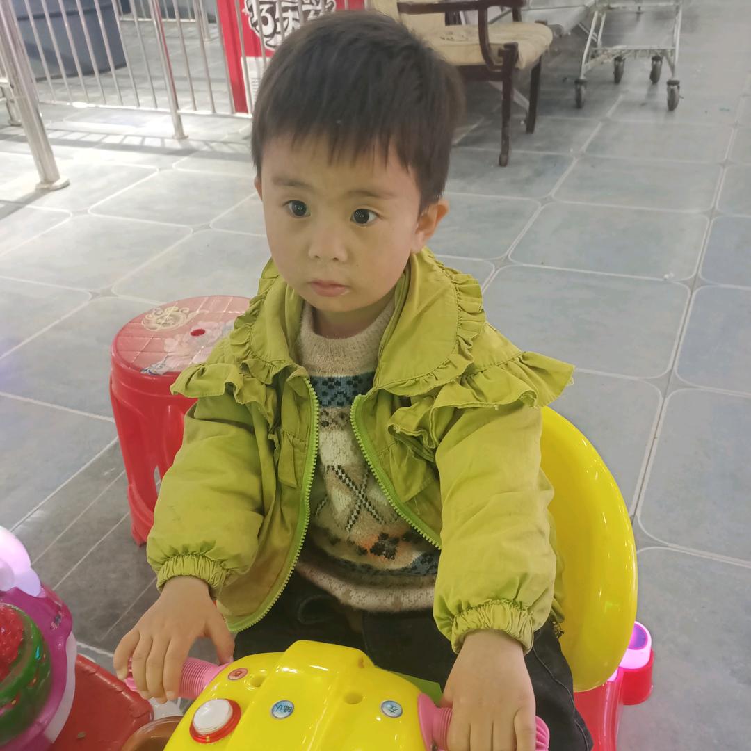 三生三世十里桃花