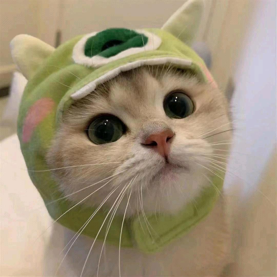 欣欣好物