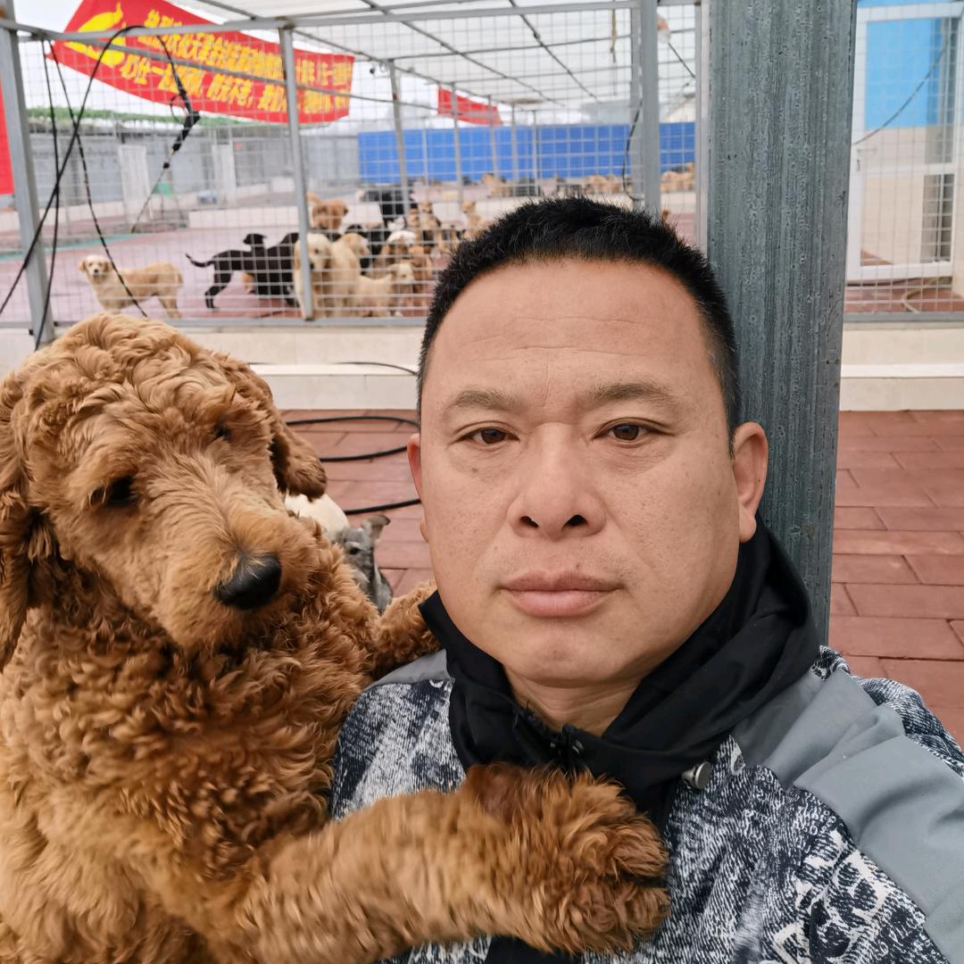金钊老张毛孩子救助