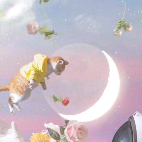 A星星（Alice）