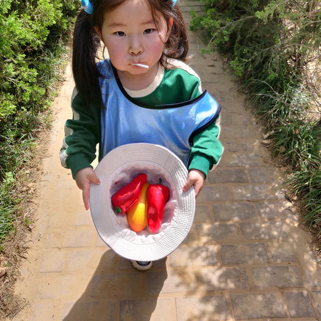 河南黑骏