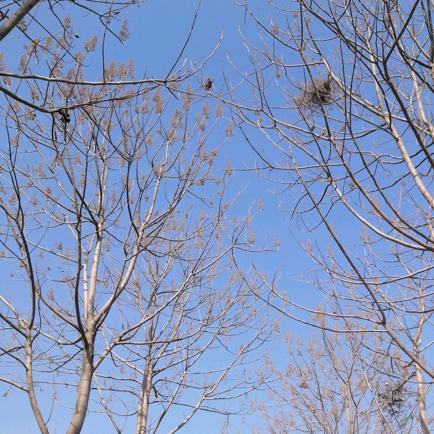 收到冬天的夏风