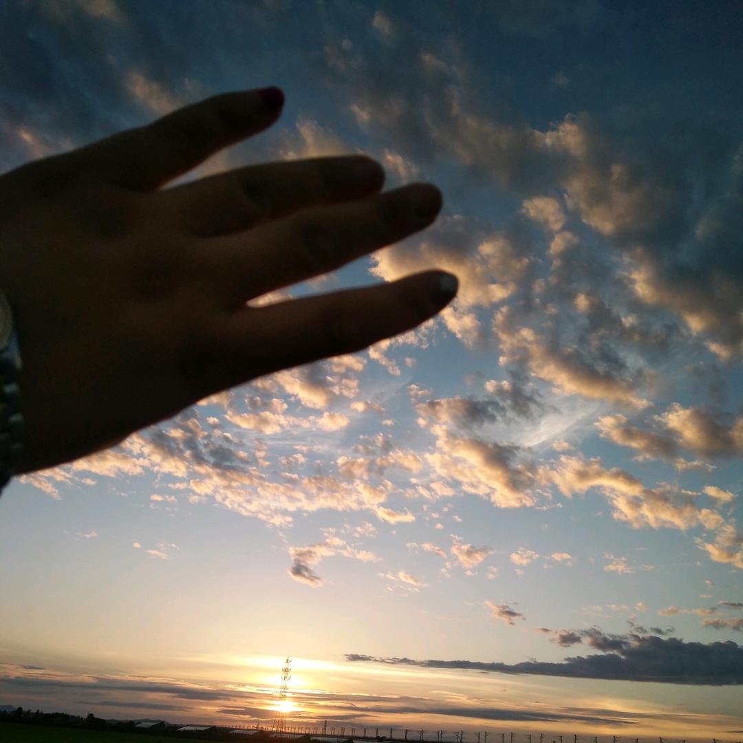 种草莓的小阿姨