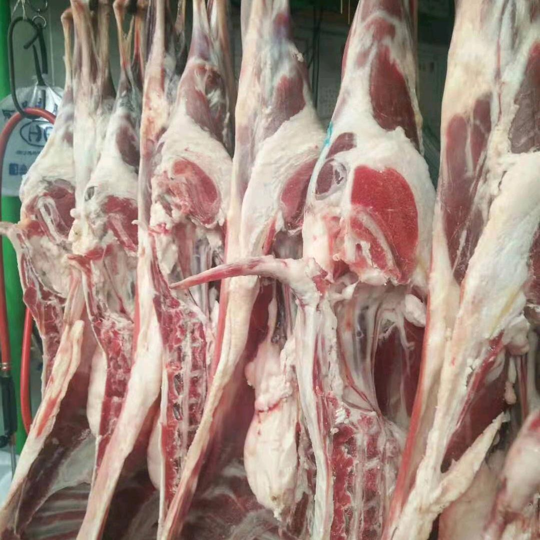 宁夏盐池县千羊百 味羊肉经销店